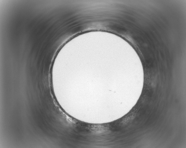 X0000058770807200509301042
