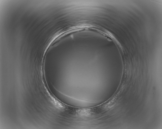 X0000058770810200509301042