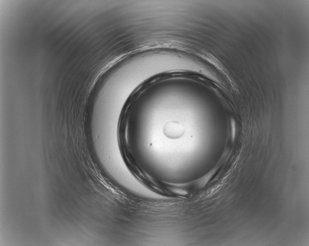X0000058770826200509301042