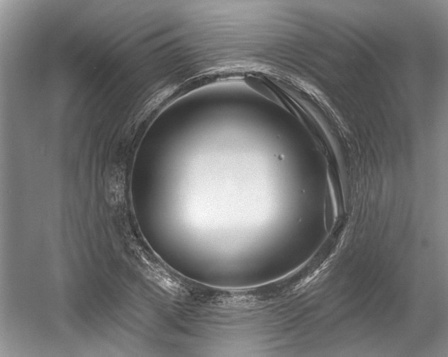 X0000058770833200509301042
