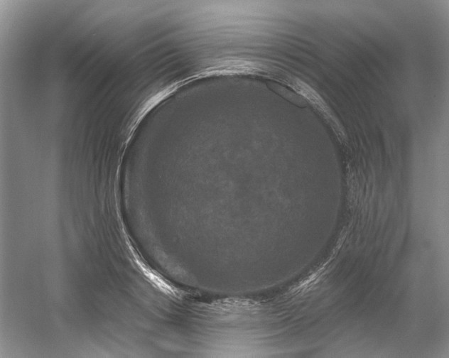 X0000058770842200509301042