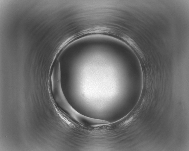 X0000058770850200509301042