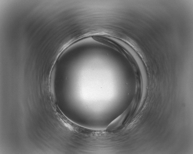X0000058770858200509301042