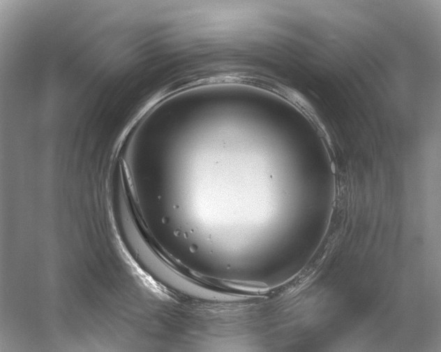 X0000058770859200509301042