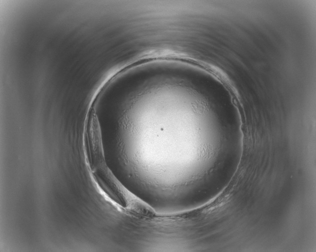 X0000058770863200509301042