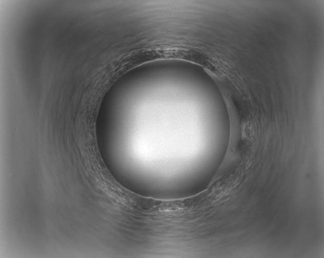 X0000058770865200509301041
