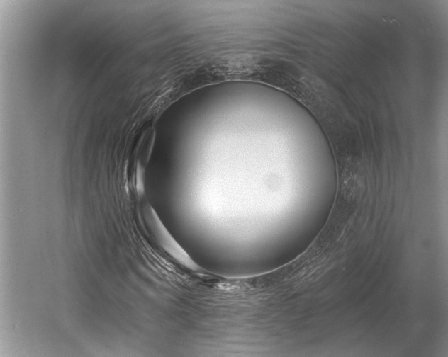 X0000058770866200509301041