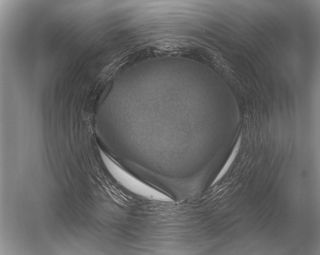 X0000058770868200509301041