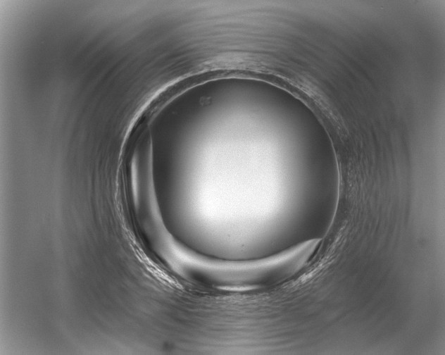 X0000058770880200509301041