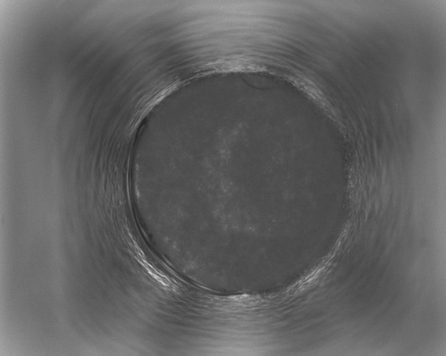 X0000058770881200509301041