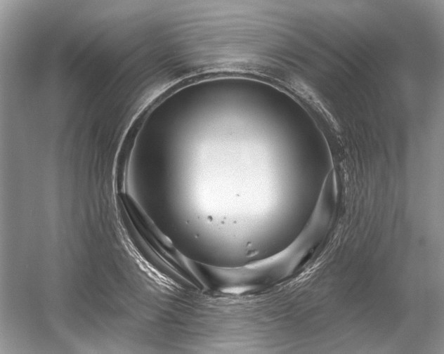 X0000058770884200509301041