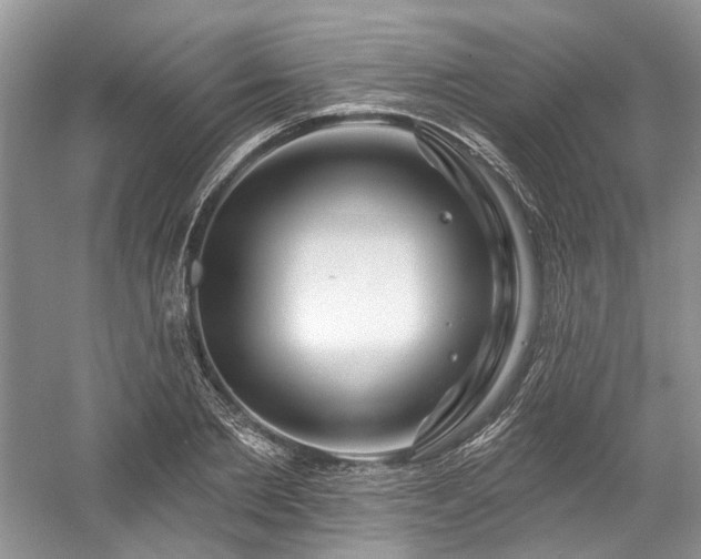 X0000058770885200509301041