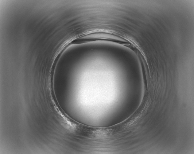 X0000058770898200509301041