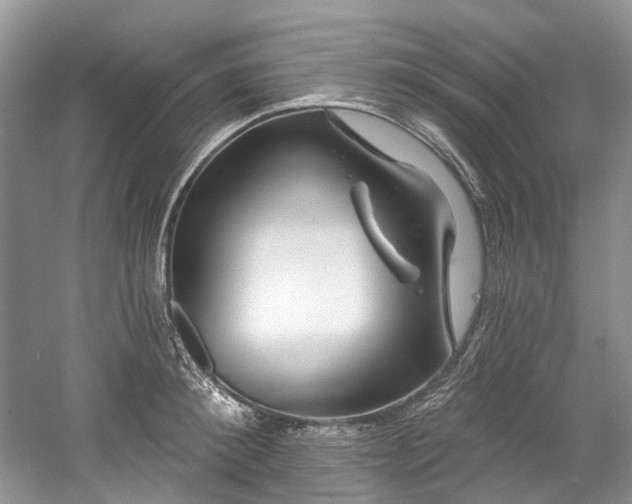 X0000058770900200509301041
