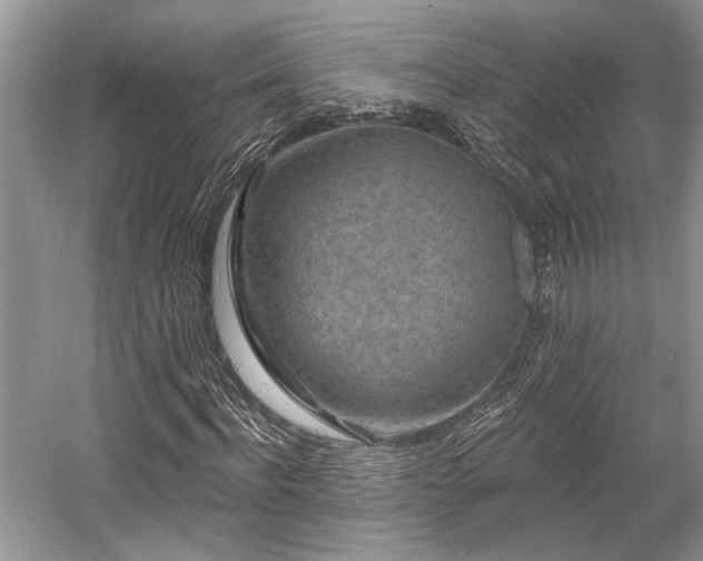 X0000058770916200509301040