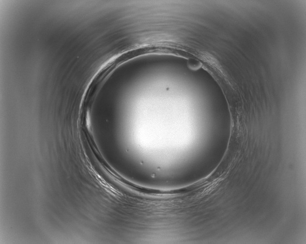 X0000058770924200509301040