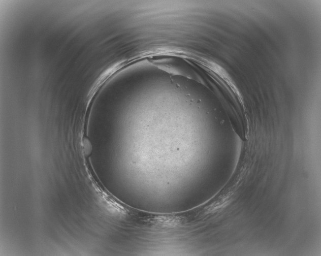 X0000058770954200509301040
