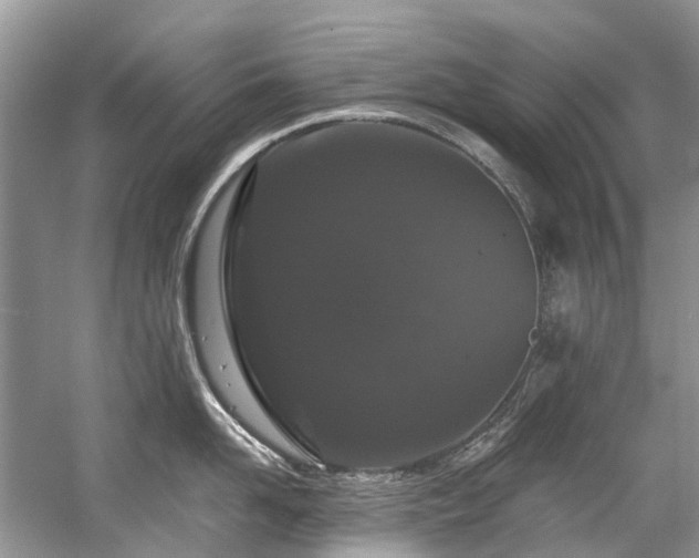 X0000058770958200509301040