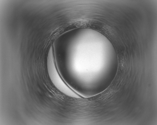 X0000058770964200509301040