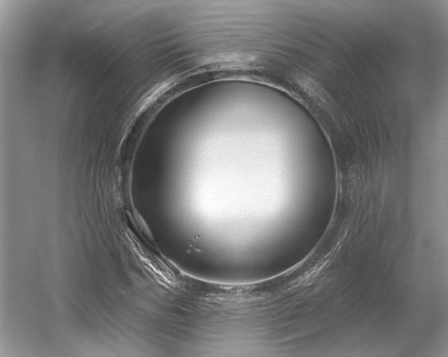 X0000058770970200509301040