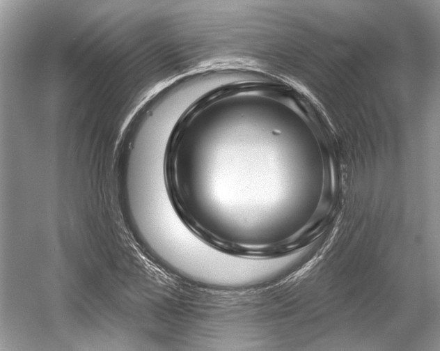 X0000058770973200509301039