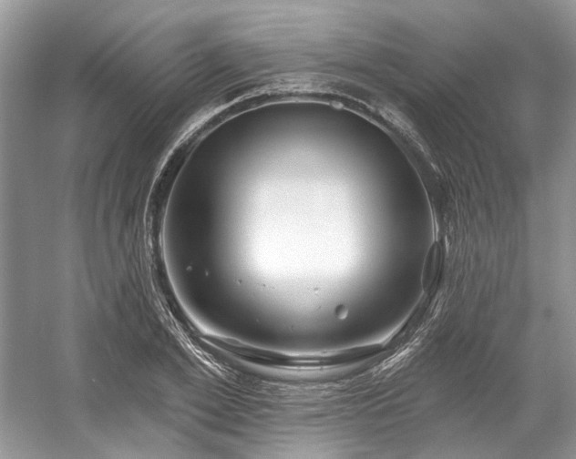 X0000058770981200509301039