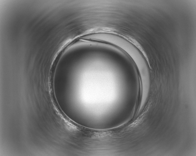 X0000058770997200509301039