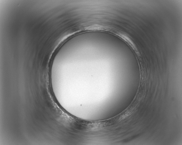 X0000058771000200509301039