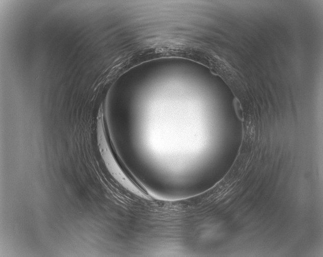 X0000058771012200509301038