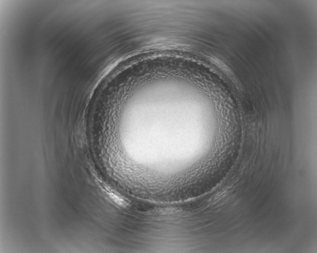 X0000058771023200509301038