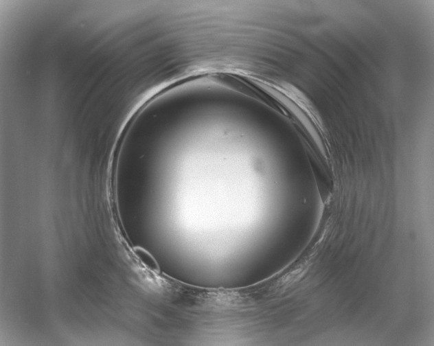 X0000058771052200509301039