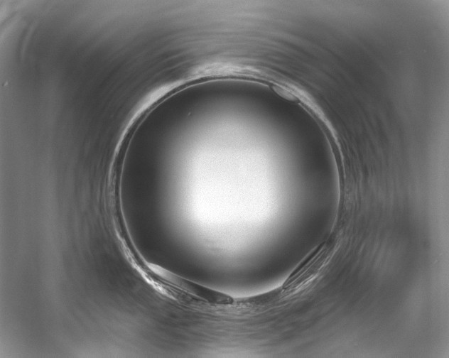 X0000058771053200509301039