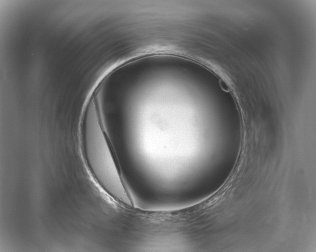 X0000058771056200509301039