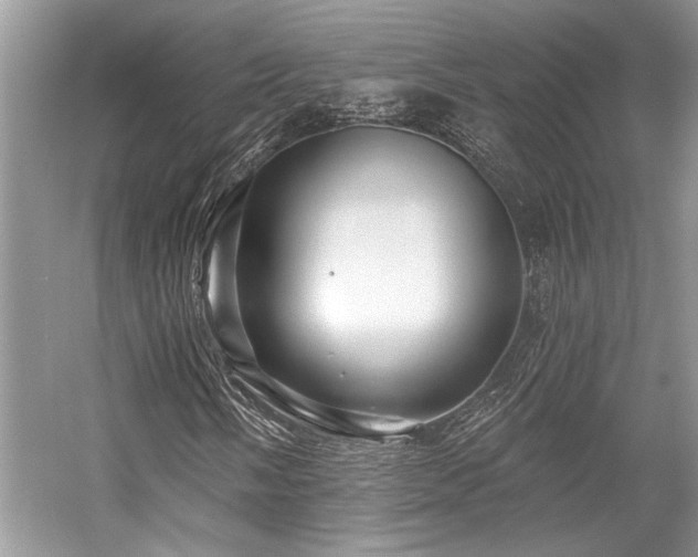 X0000058771058200509301038