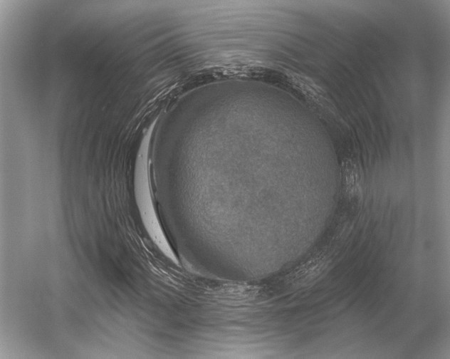 X0000058771060200509301038