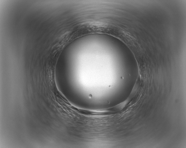 X0000058771061200509301038