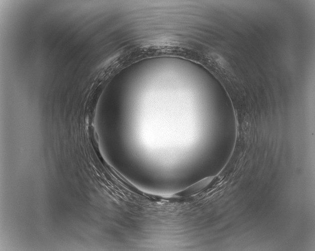 X0000058771062200509301038