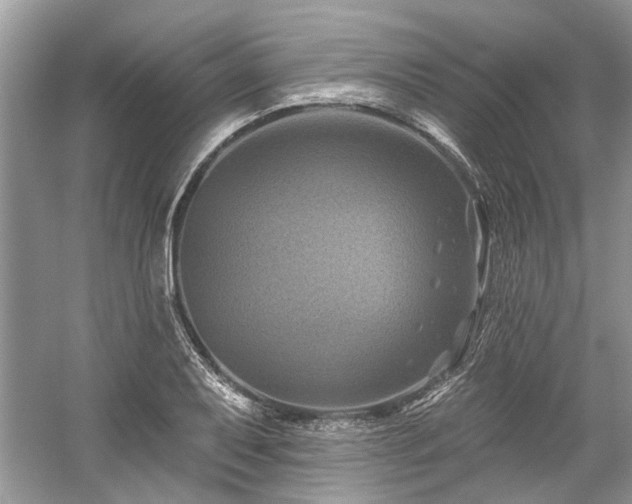 X0000058771079200509301038