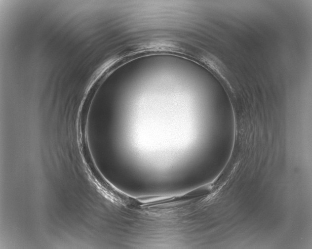 X0000058771082200509301038