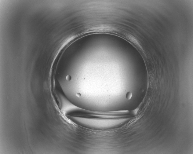X0000058771087200509301038