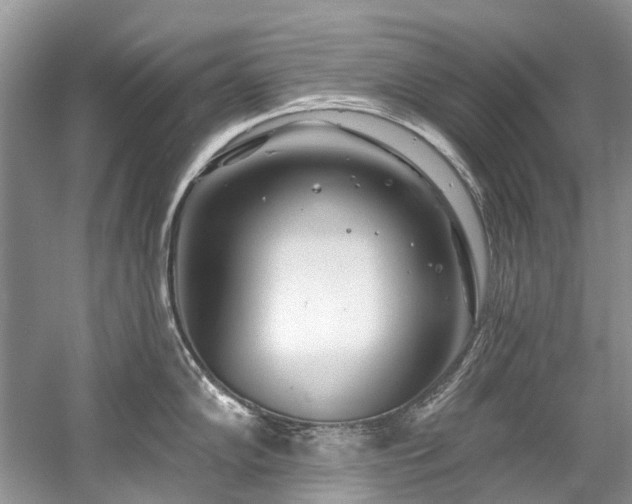 X0000058771102200509301037
