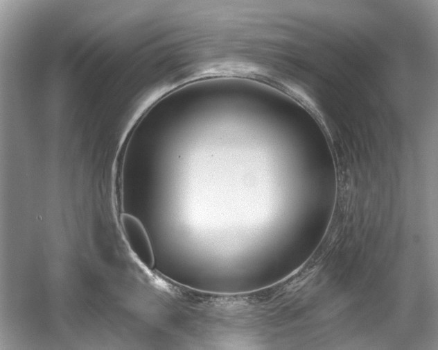 X0000058771103200509301037