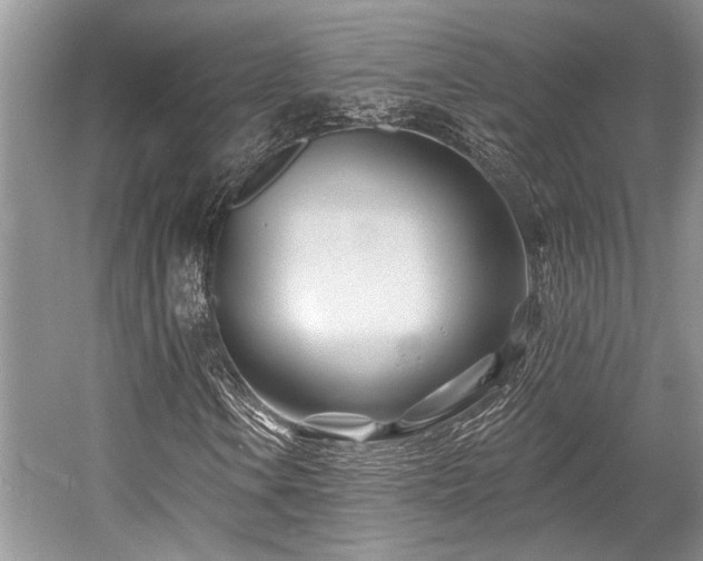 X0000058771106200509301036