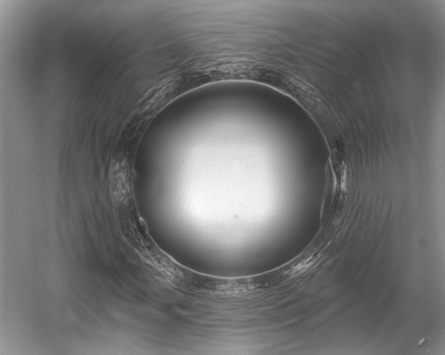 X0000058771107200509301036