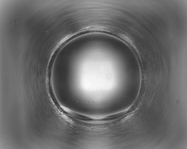X0000058771133200509301037