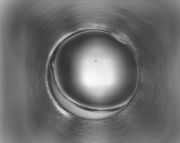 X0000058771136200509301037
