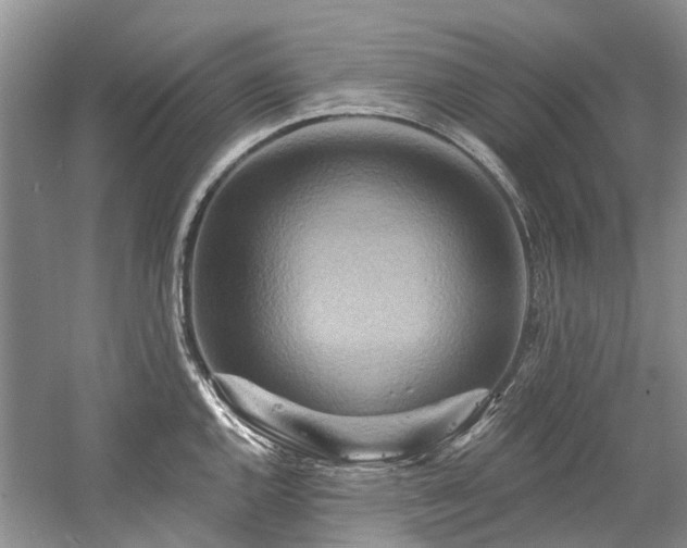 X0000058771144200509301037