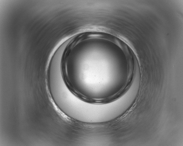 X0000058771152200509301037