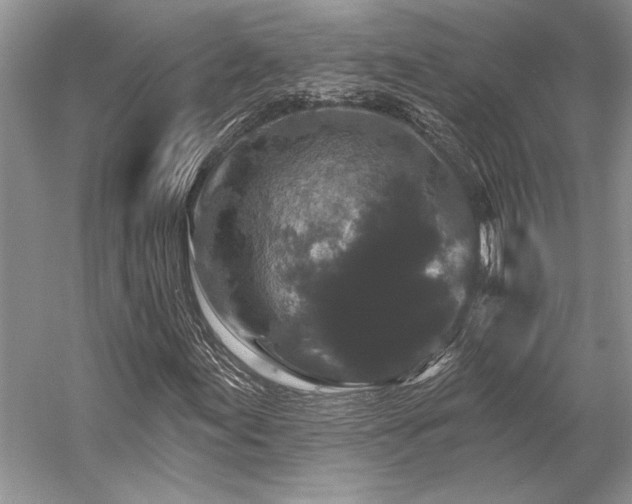 X0000058771155200509301036