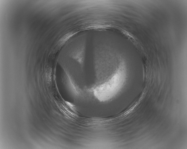 X0000058771161200509301036